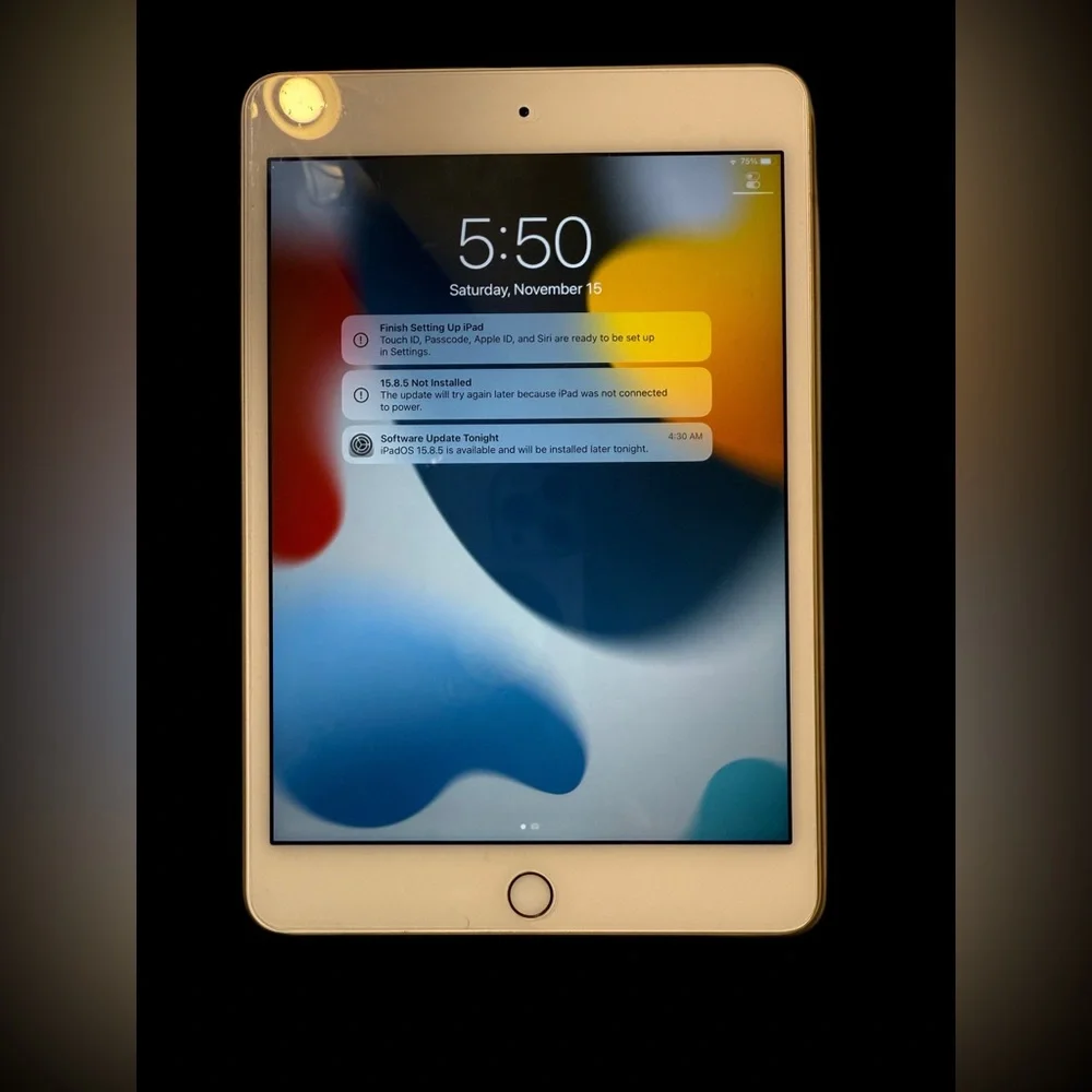 Apple iPad Mini 4 Gold 128GB WiFi with 2 Cases